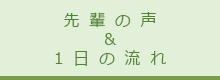 先輩の声＆1日の流れ